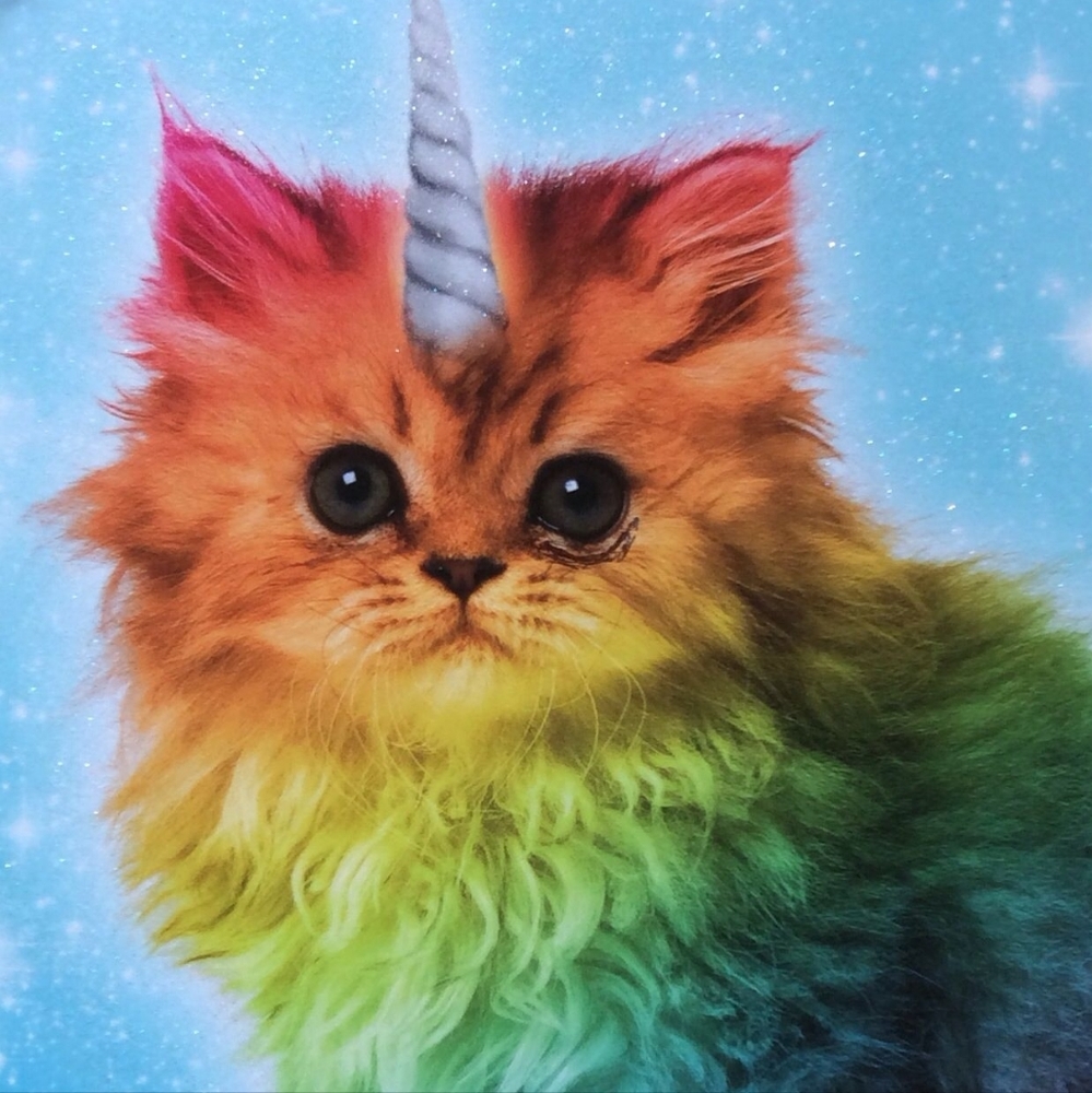 Meet your Posher, Danika